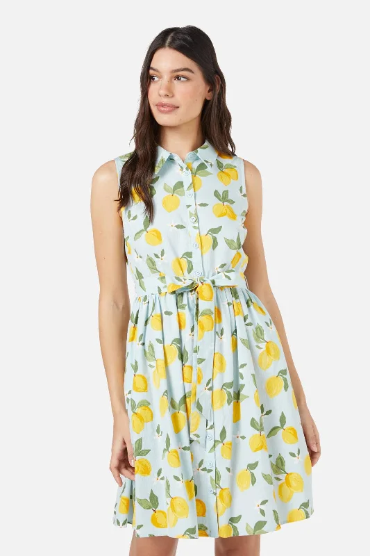 Absurdly Cheap Sale Lemon Shirt Dress